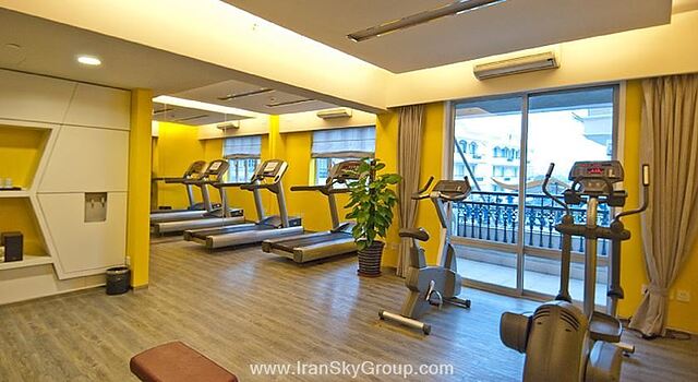 سیتادینز بیون شانگهای
