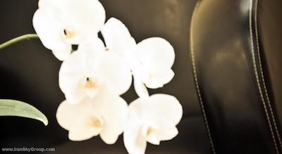 هتل گونود نایس