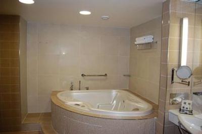 کلاریون کانگرس پراگ