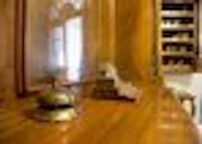 فورست مترنیچ