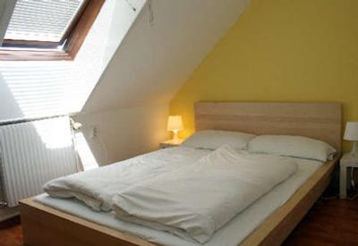 ای اند او وین استادتهال