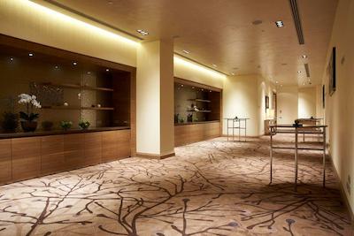 هیلتون میلان