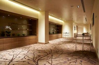 هیلتون میلان