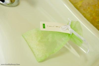 چارلز بریج پالاس