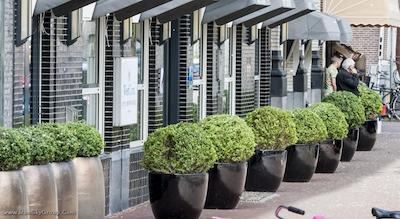 وست کرد سیتی سنتر آمستردام