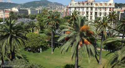 آلبرت پرمیر