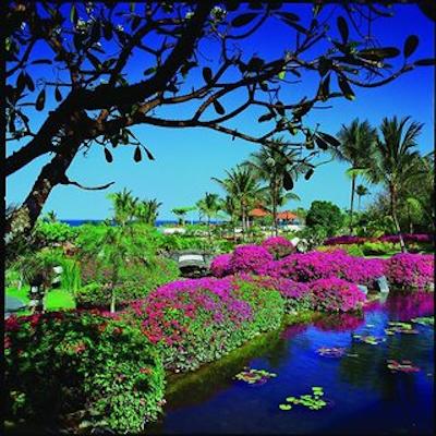 گرند حیات بالی