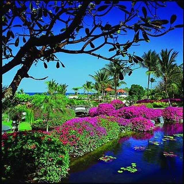 گرند حیات بالی