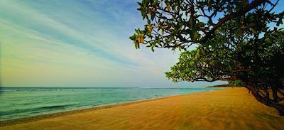 گرند حیات بالی