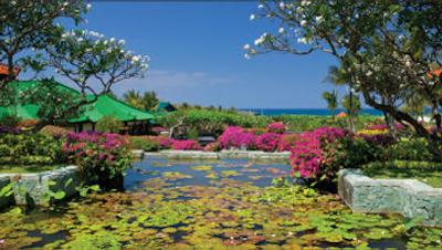 گرند حیات بالی