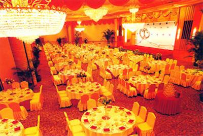 بست وسترن شنزن فلیسیتی