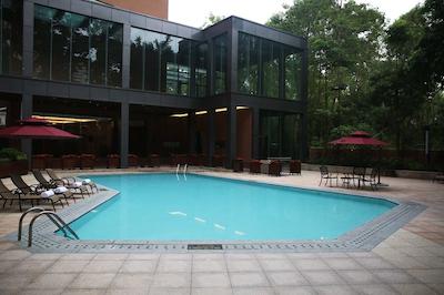 بست وسترن شنزن فلیسیتی