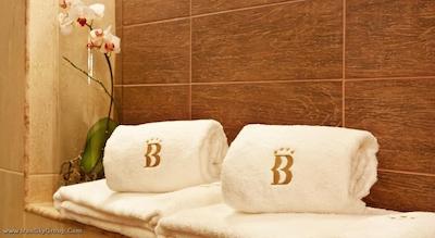 بست وسترن پلاس بریستول هتل