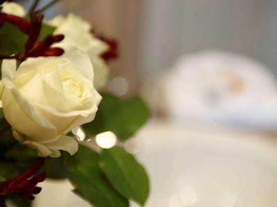 هتل فرانکفورت اوفنباخ سیتی بای تولیپ این