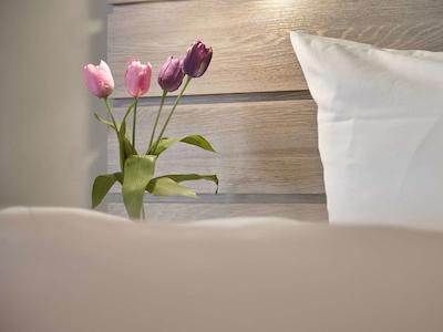 هتل فرانکفورت اوفنباخ سیتی بای تولیپ این