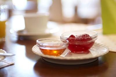 هتل فرانکفورت اوفنباخ سیتی بای تولیپ این