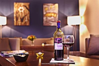 هتل فرانکفورت اوفنباخ سیتی بای تولیپ این