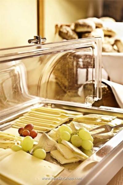 هتل فرانکفورت اوفنباخ سیتی بای تولیپ این