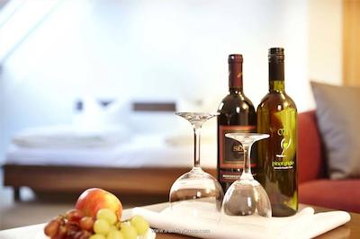 هتل فرانکفورت اوفنباخ سیتی بای تولیپ این