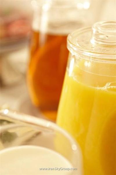 هتل فرانکفورت اوفنباخ سیتی بای تولیپ این