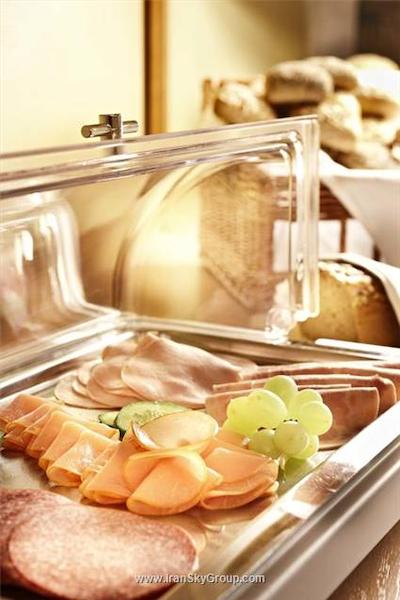 هتل فرانکفورت اوفنباخ سیتی بای تولیپ این