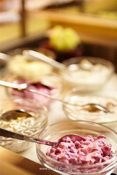 هتل فرانکفورت اوفنباخ سیتی بای تولیپ این