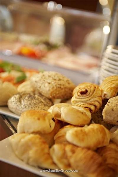 هتل فرانکفورت اوفنباخ سیتی بای تولیپ این