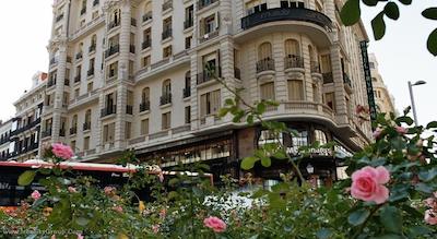 هوستال لویس XV