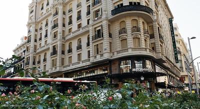 هوستال لویس XV