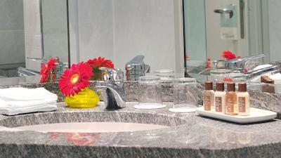 شرایتون آفنباخ هتل