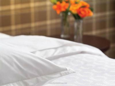 شرایتون آفنباخ هتل