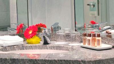 شرایتون آفنباخ هتل