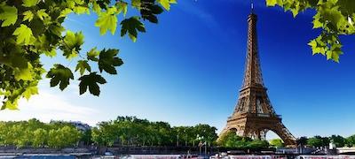 کمپنایل رویسی له مسنیل املوت