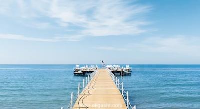 ریکسوس پرمیوم بلک