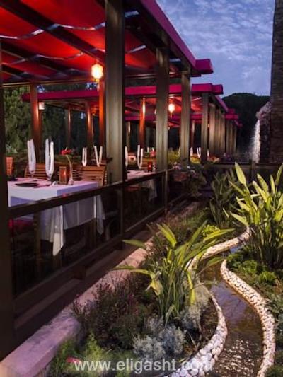 ریکسوس پرمیوم بلک