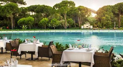 ریکسوس پرمیوم بلک