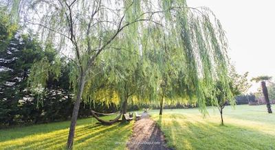 شیله گاردنز هتل انداسپا