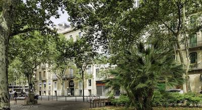 اج 10 اورکوینانا پلازا