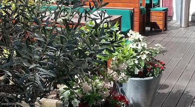 سورات آمباسادر برلین