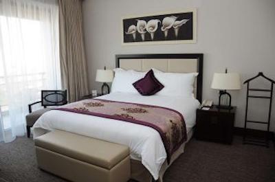 بلوبی چلیک پالاس هتل بورسا