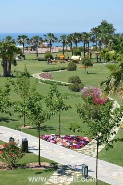 باروت هتل لارا