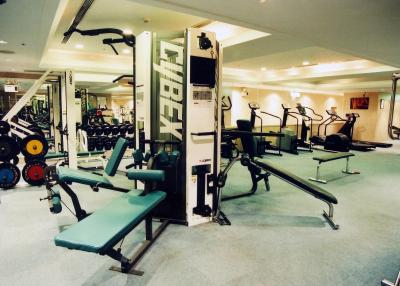 سانورلد داینستی