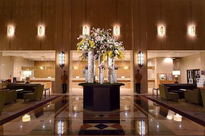 متروپولیتن توکیو