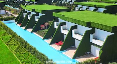 رویال آدم اند هوا