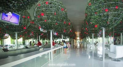 رویال آدم اند هوا