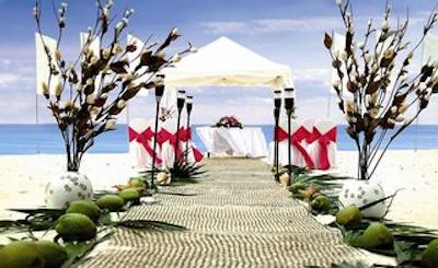 کراون کلاب پارادایز