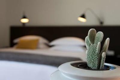 الکساندرا بارسلونا