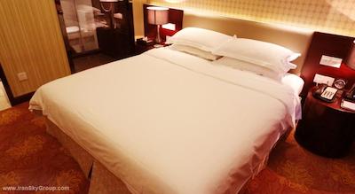 لیدن جینگشی