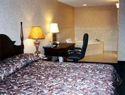 دیز این تورنتو ایست لیک ویو