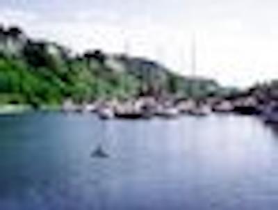 دیز این تورنتو ایست لیک ویو